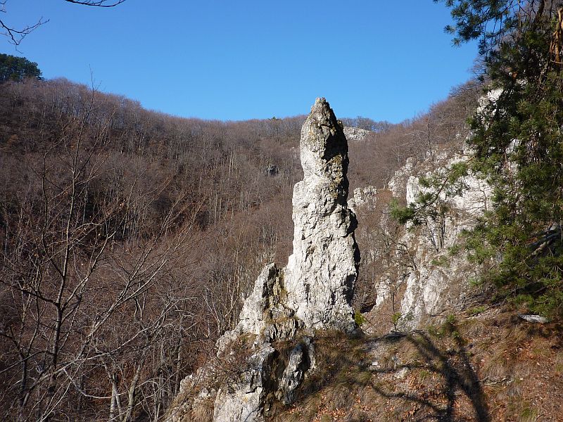 P1120259